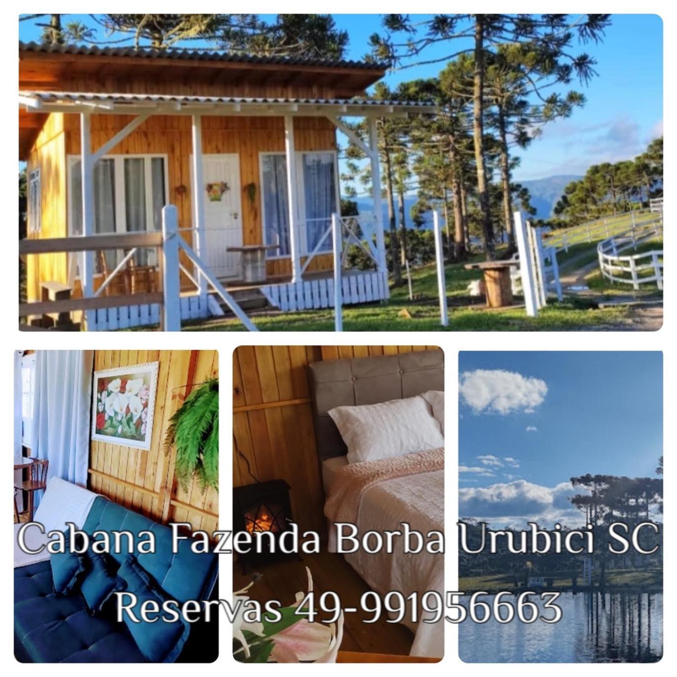 Fazenda Borba