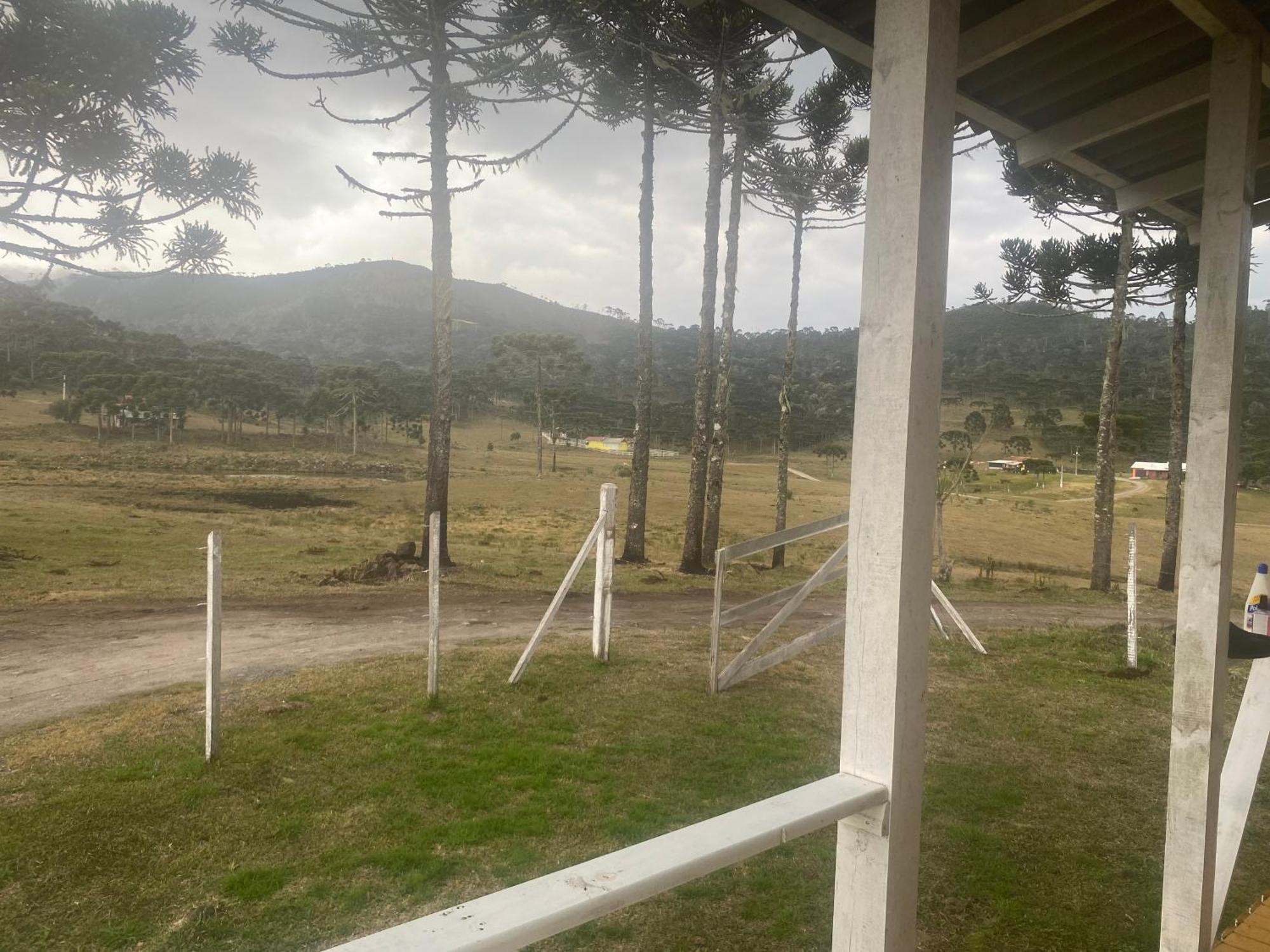 Fazenda Borba