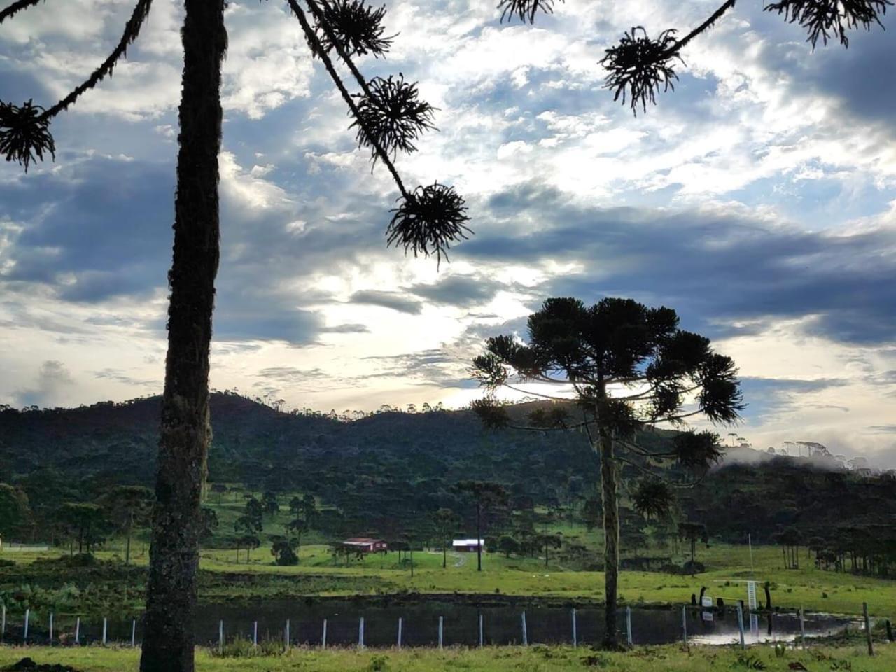 Fazenda Borba Chalet