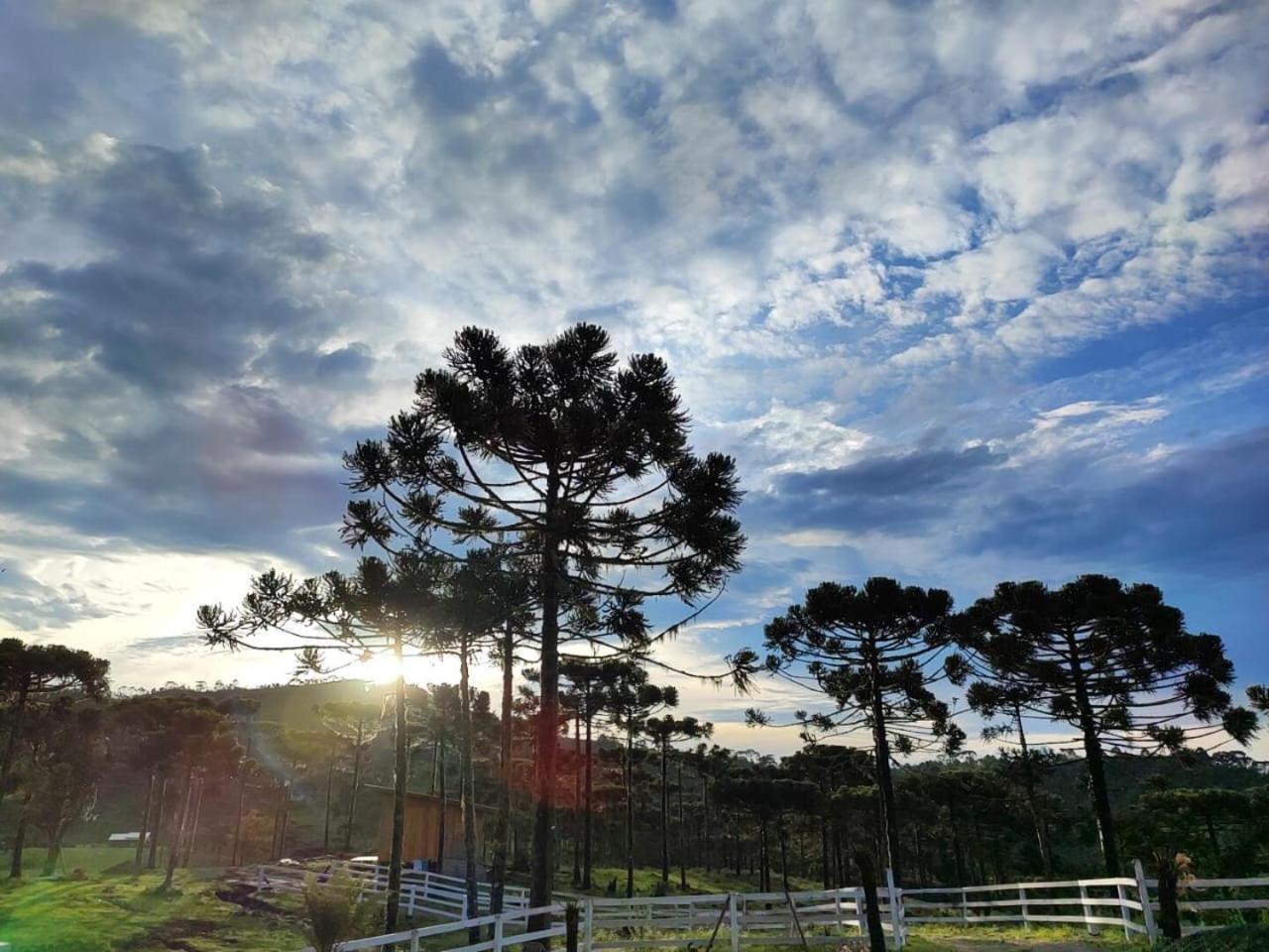 Fazenda Borba Chalet
