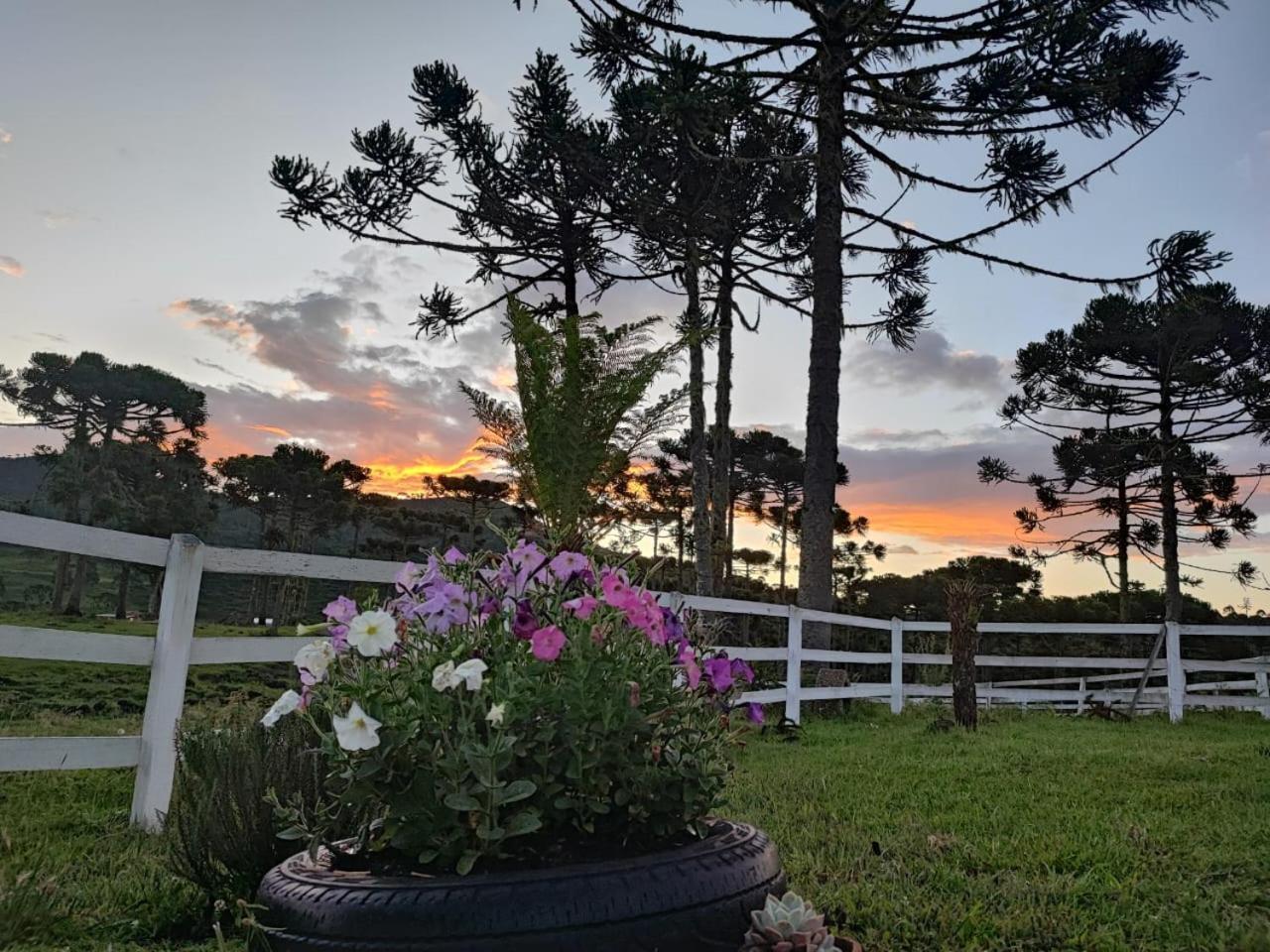 Chalet Fazenda Borba