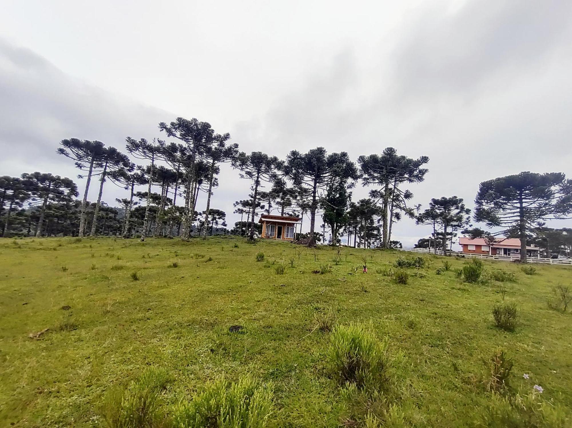 Fazenda Borba