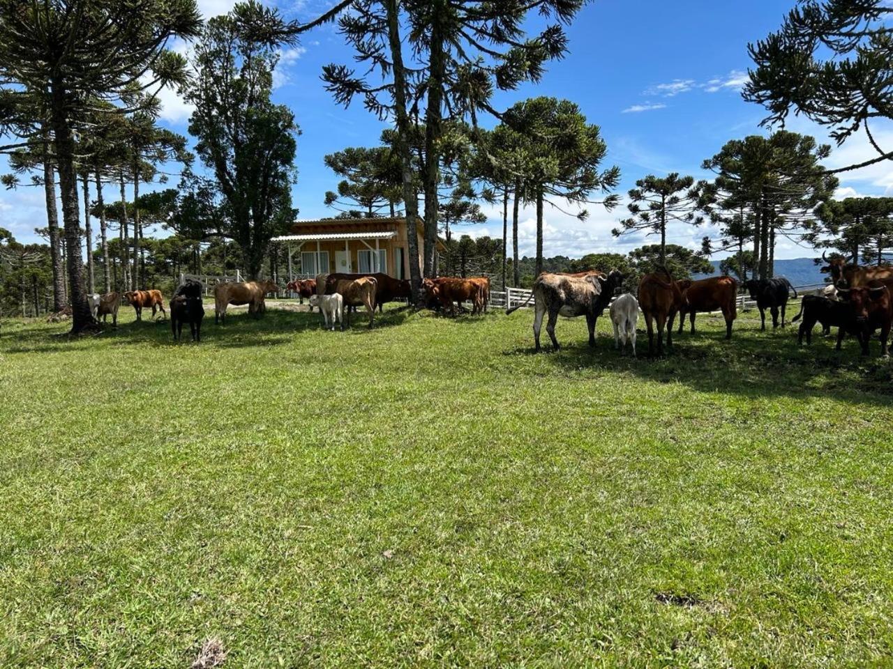 Chalet Fazenda Borba Urubici